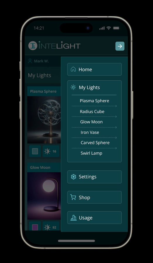 Mobile App Interface Design Menu